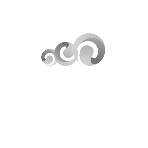 Snowball Wealth Management